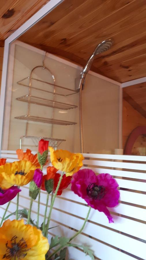 Chambres Et Roulotte De La Gentilhommiere Chazey-sur-Ain Екстер'єр фото